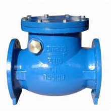 Domestic Water Systems Used Non Return Valve